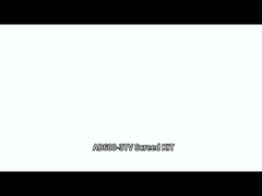 SOLERA BÁSICA (AB600TV(2013177)